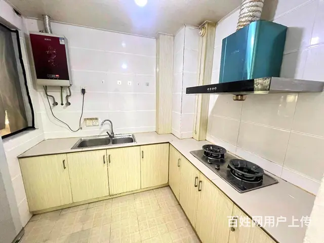 押一付一 劳动路 双桥地铁口 胥江龙湖 凤凰胥岸 云庭 万科 - 图片 4