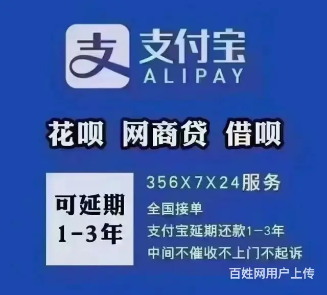 莱芜*花呗*债务重组 - 图片 3