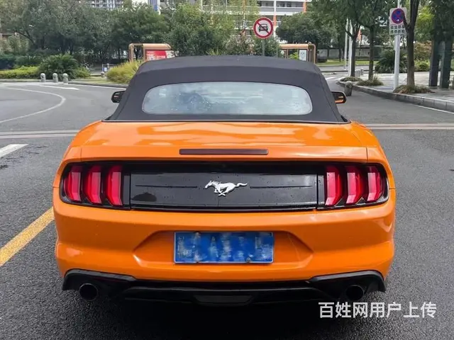 福特野马敞篷 - 图片 8