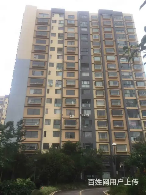 星耀地铁旁 星泽园2房 精装修 端头房 有钥匙 三 - 图片 10