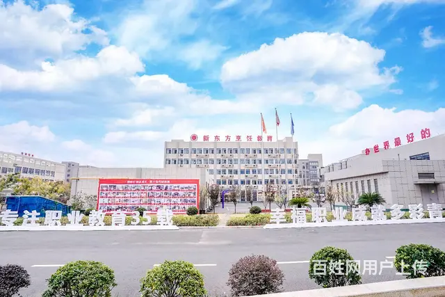 初中毕业上什么技校好，推荐湖北新东方 - 图片 3