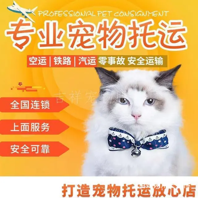 安徽东至宠物托运 （猫狗活体运输）宠物快递至全国 - 图片 1