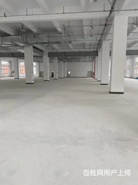 蓬朗丙类厂房出租 - 图片