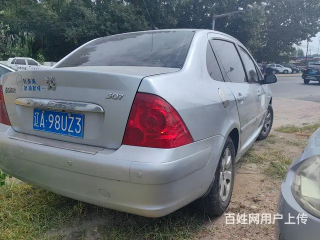 【搞定了！】标志307 - 图片 6