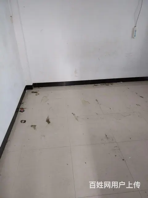西陇小学旁 - 图片 7