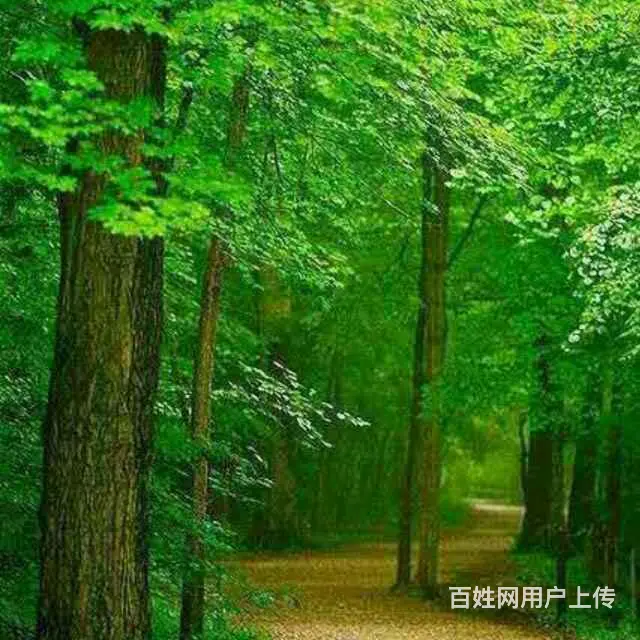 厦女35岁两套房找大12岁之内男招亲 - 图片