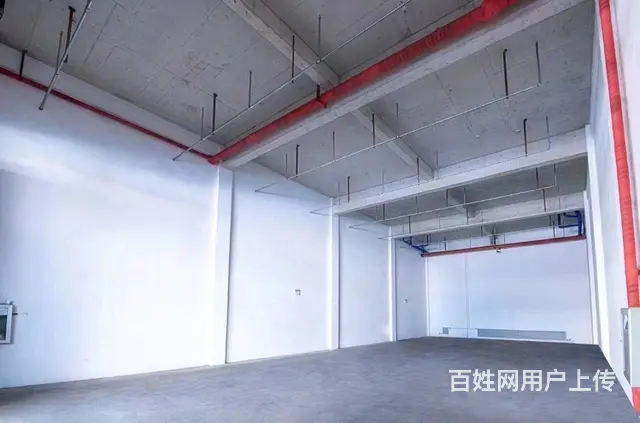 于洪区20000平库房出租 - 图片 2