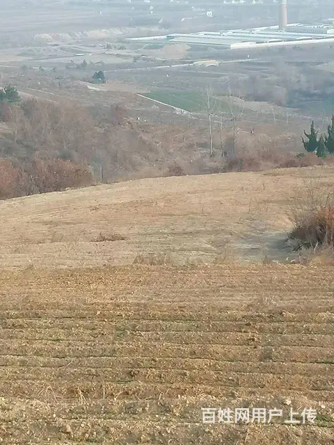 微信联系面议价格乳山一百亩土地转让 - 图片