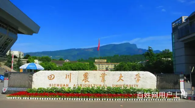 四川农业大学小自考流程可考7月校考 - 图片