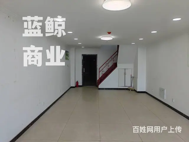 新城绿地蓝海100平复式 - 图片 2