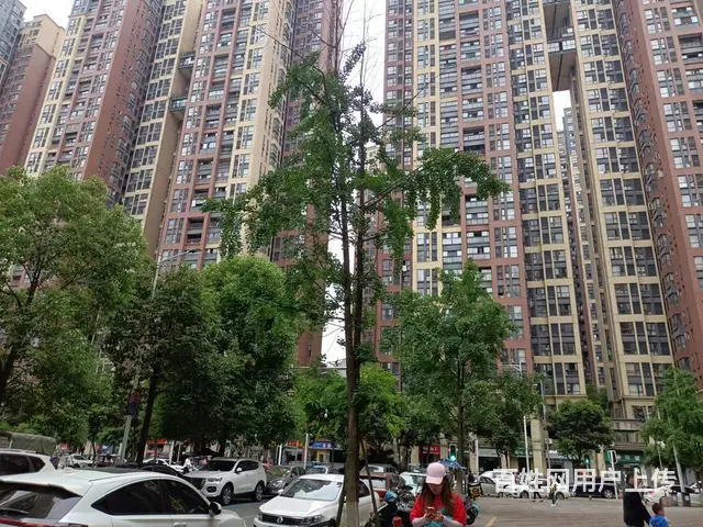 XSY）郫都区龙城国际火锅店转让 - 图片 7