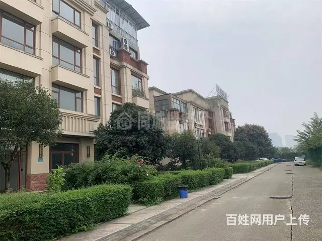 广汉向阳医药健康城400平 办公室租售 - 图片 3