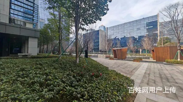 (出租)阿里网易旁，滨江小独栋，环境优美，高端大气上档次适合 - 图片 6
