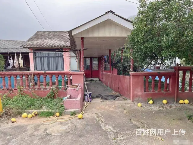 （老板本人）岳麓区王家湾旁独门独院农家乐露营基地招租6106 - 图片 5