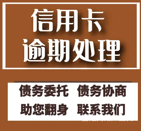 常州*信用卡延期还款债务规划 - 图片 1
