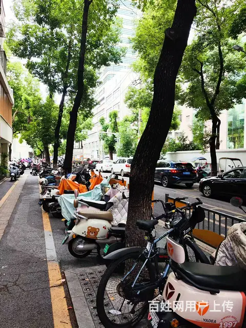 市中心 进一院必经之路 这条街店面全部租满 沿街店面市口好 - 图片 2