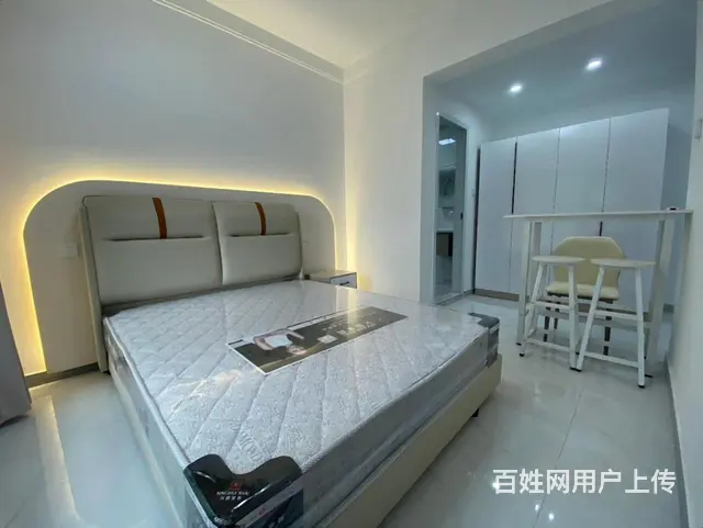 星河COCO植物园金融广场旁全新精装一室一厅带天然气押一付一 - 图片 1