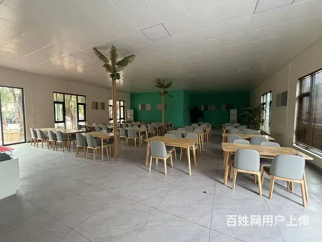 （51旺铺推荐）海棠湾藤桥283平餐厅出租也可合作 - 图片 5