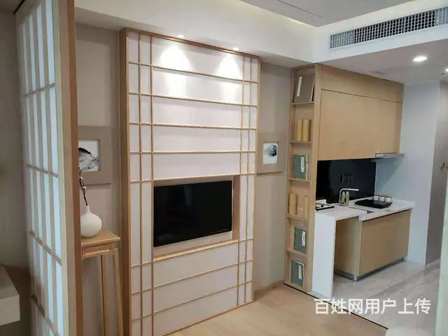 央企保利，精装小户，地铁口，观巢湖全景！ - 图片 9
