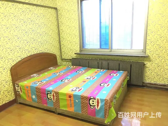 市府恒隆广场旁，七星小区 两室整租，950元/月，2楼家电全 - 图片 1