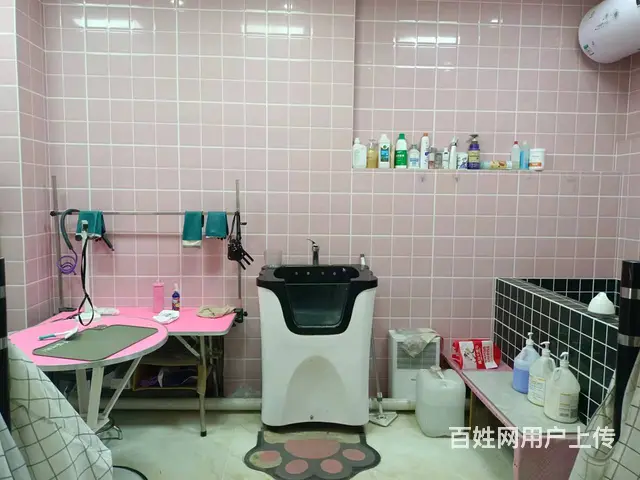 【搞定了！】香坊区进乡街宠物店出兑 - 图片 6