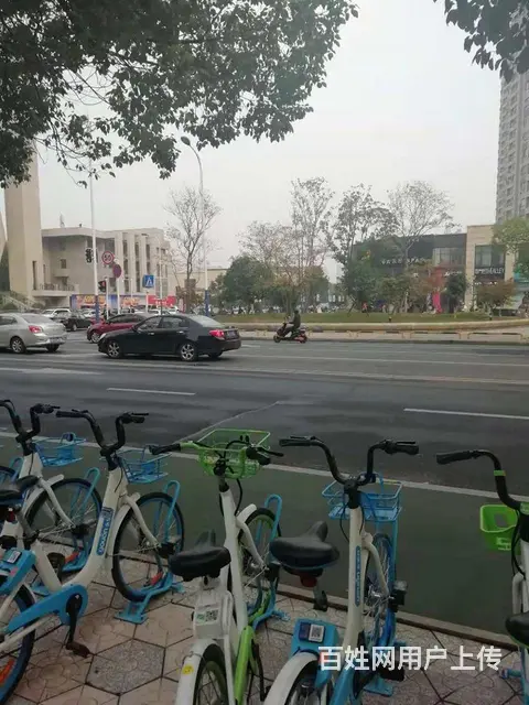 宝龙广场十字路口商铺 - 图片 4