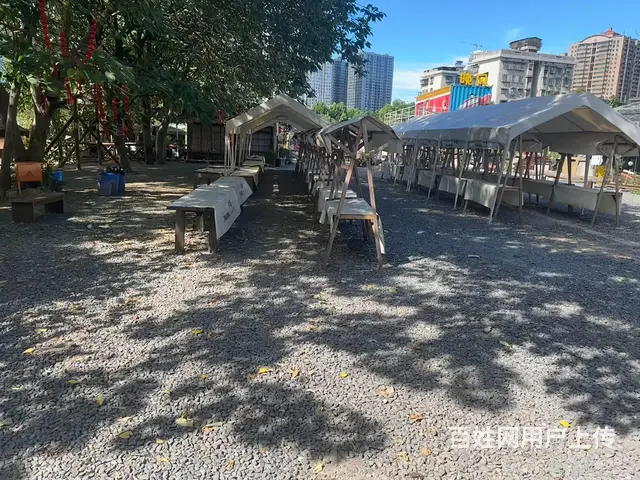百万富翁孵化地 - 图片 5