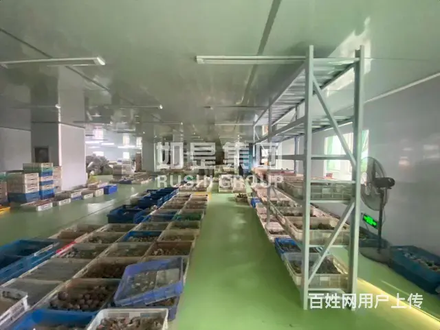 厂房专业户，随便挑，每层1000平价格美丽可进货柜 可加工 - 图片 10