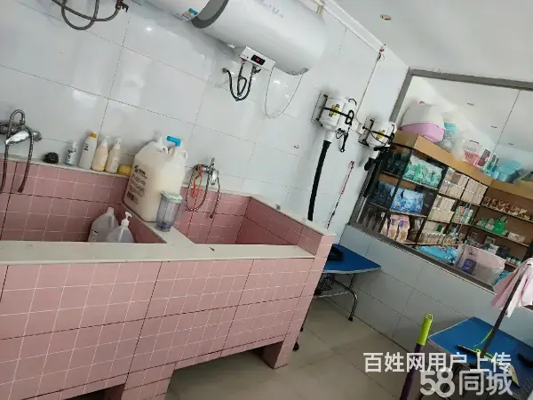 急转！邢台市桥东区南园路80平博爱宠物店 - 图片 6