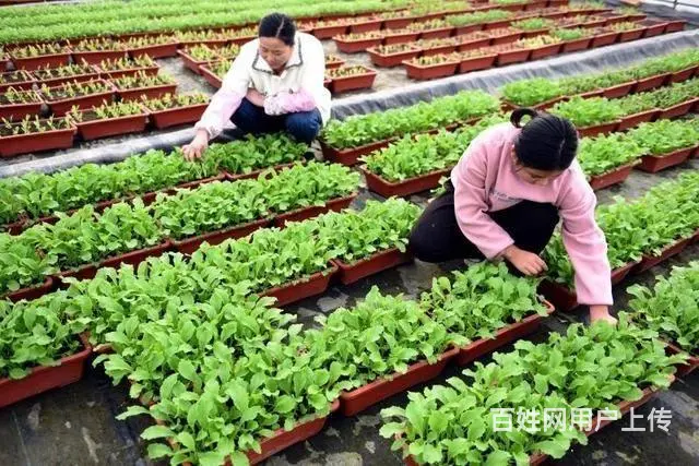 招聘香港离家近普工包吃住岗位 - 图片 3