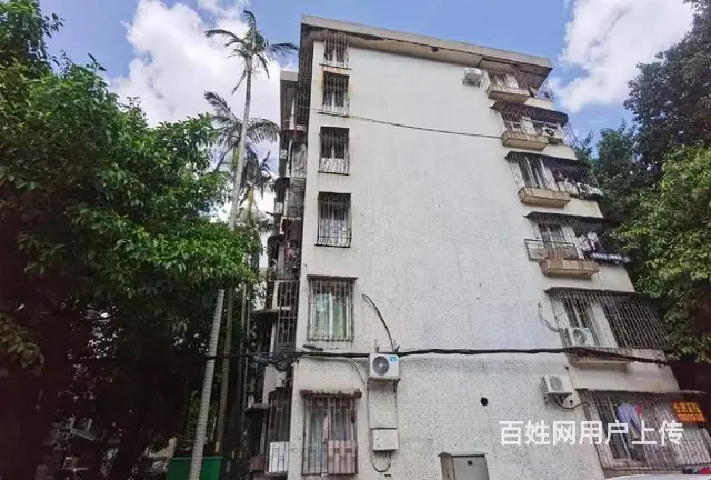 吉大新村 精装3房，采光好 拎包随时 可以入住 - 图片 12