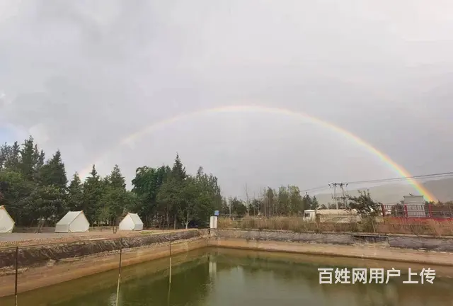 玉溪市江川区（大型休闲娱乐农家小院）低价转让 - 图片 9