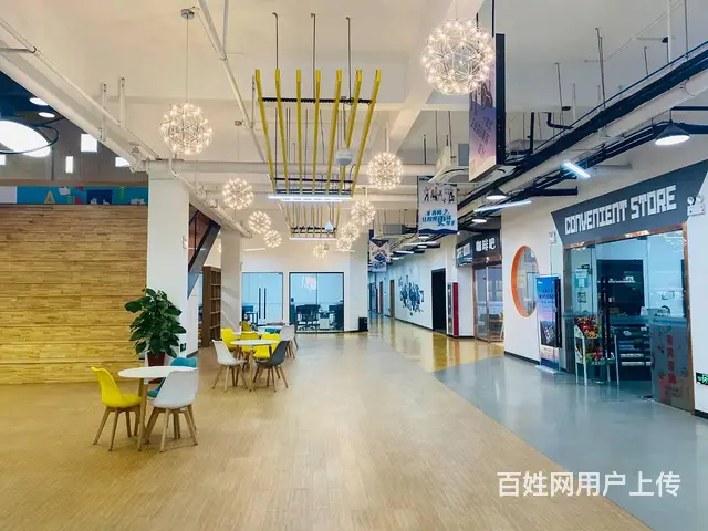 高新区厂房出租，配套齐全，补贴齐全 - 图片 6
