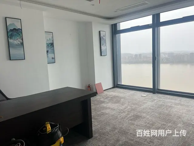 信雅达国际 一线江景 高区边套 3加1精装修带家具！地铁方便 - 图片 3