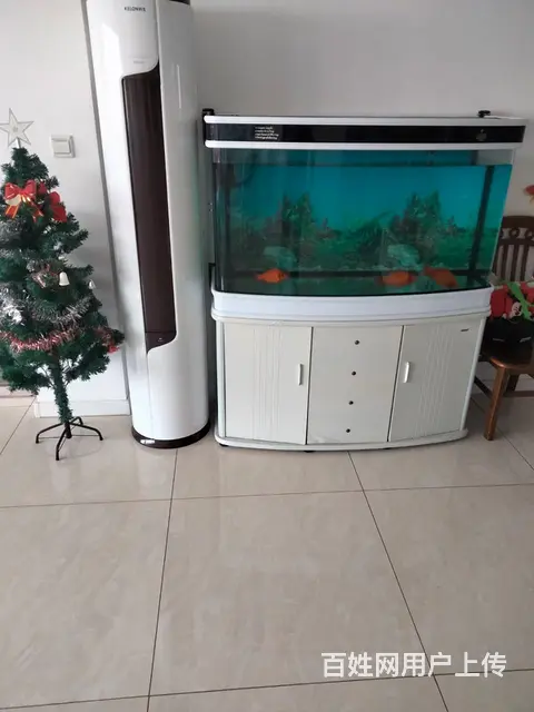 出售可丽爱品牌水族箱一米二 - 图片 2