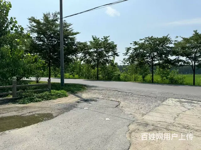 （城市在线找房免费）邳州邢楼厂房（土地）出租 或转让 - 图片 3