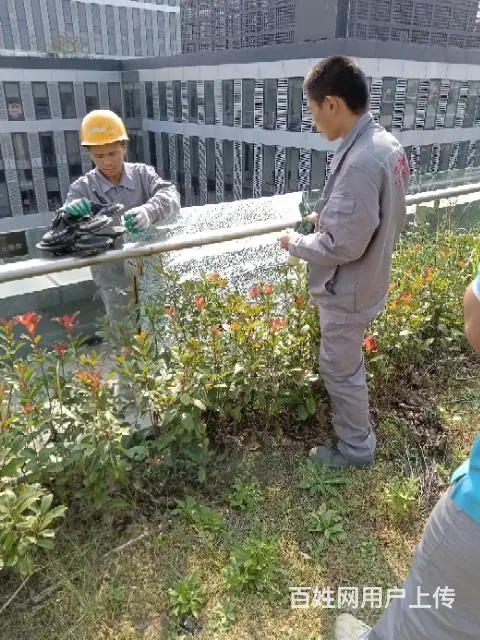 幕墙玻璃更换 ，雨棚玻璃更换 ， - 图片 6