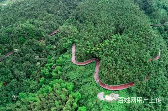 金兰凤凰度假区 普通住宅 毛坯房 - 图片 2