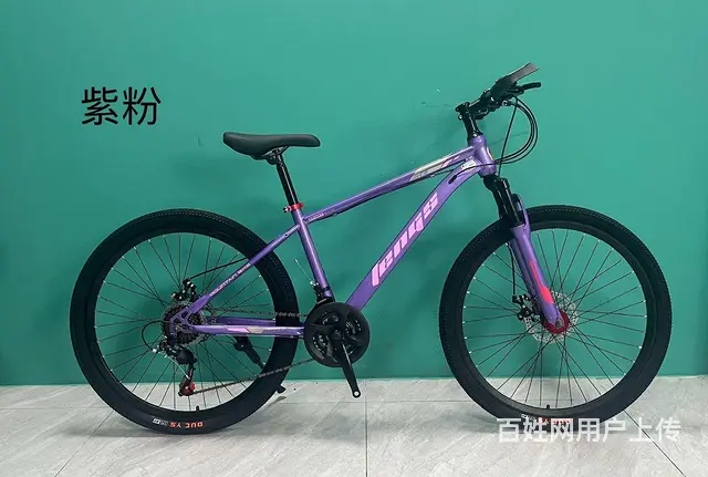 清仓处理全新的凤凰牌铝合金车架碟刹变速山地车 - 图片 5