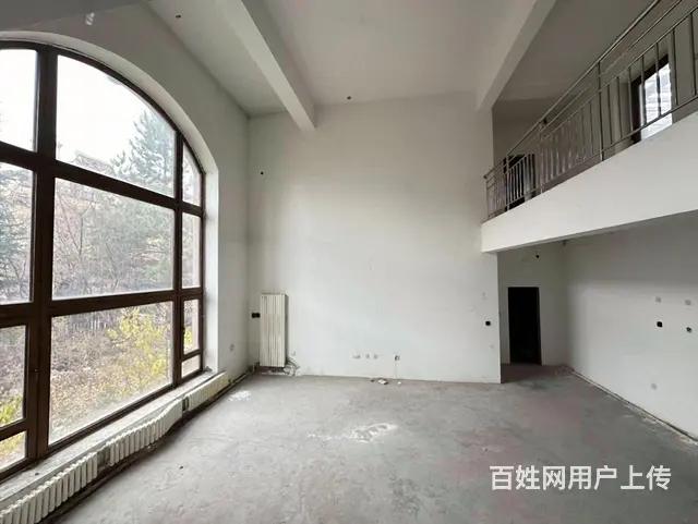 群力四合院墅 独栋 双拼 类独栋多套户型 超底价格 - 图片 4