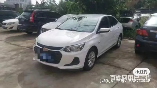 年后用车找天下行 - 图片