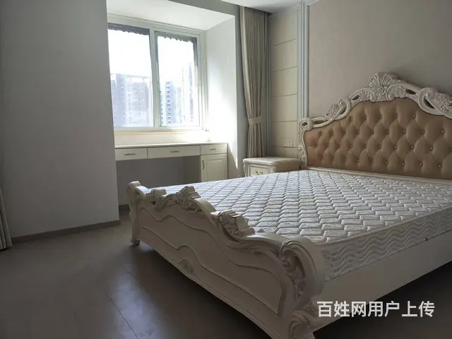 市中心 品质小区 改善小区 九洲新世界君玺 精装修 低价出售 - 图片 2