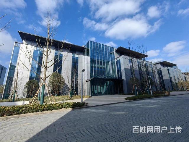 外高桥保税区外标准研发办公厂房首层6.5米无地下室5百起租的图片