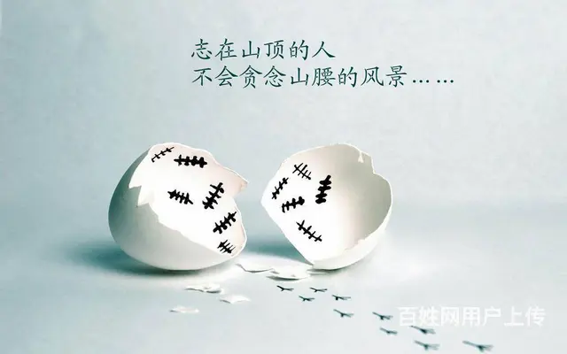 南京晓庄学院徐州五年制专转本暑假零基础新班开课招生 - 图片