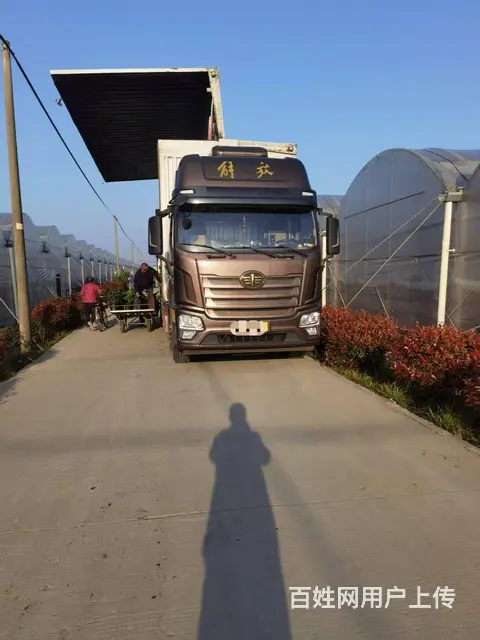 解放 厢式货车 国6 - 图片 1