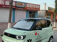 五菱 宏光 2020款 宏光MINI EV 悦享款