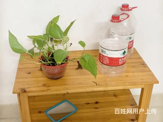 便宜出租崇左旧城区新民路西塘一房一厅一卫 - 图片 1