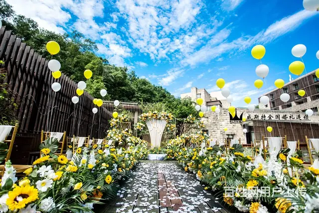 户外草坪婚礼 - 图片 5