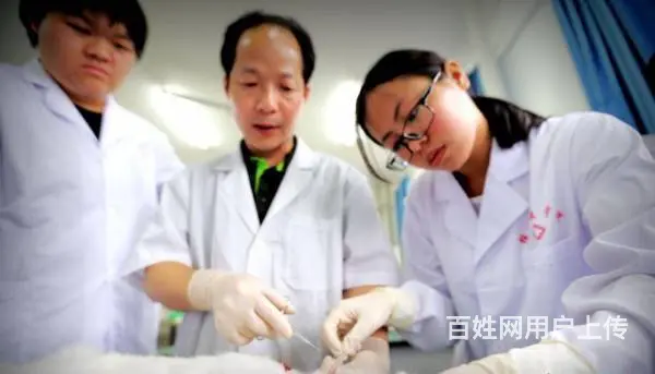 烟台卫校录取分数 - 图片 1