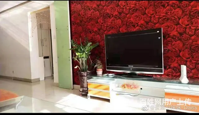 合租女 - 图片 2